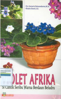 Image of Violet Afrika : sicantik seribu warna berdaun beludru